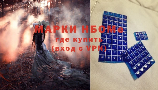 apvp Алзамай