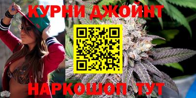 стафф Новокубанск