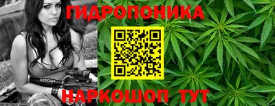 mdma Новозыбков