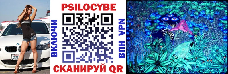 Галлюциногенные грибы Psilocybe  OMG маркетплейс  Чапаевск 
